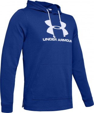 sportstyle terry logo hoodie