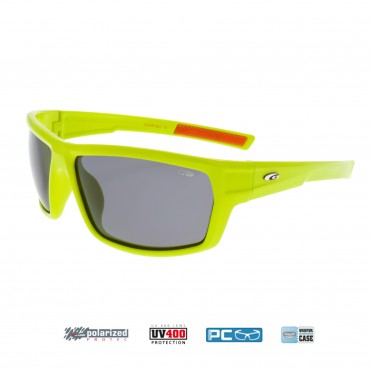 goggle sunglasses