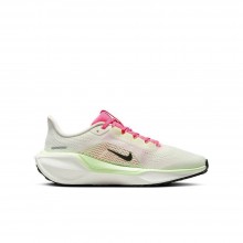 air zoom pegasus 41 gs