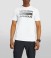 ua team issue wordmark ss
