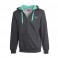 ess hooded jacket, fleece