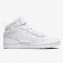 nike court borough mid 2 (psv)