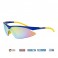 goggle sunglasses