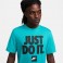 nsw tee fran jdi verbiage