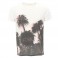 s/s palm tree