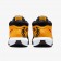 lebron witness 8